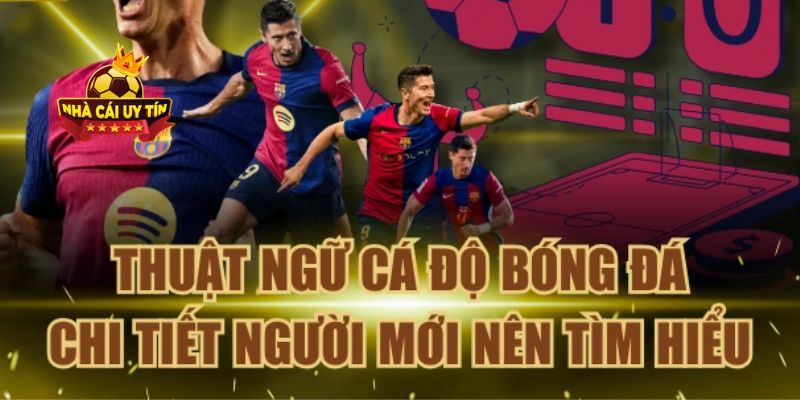 Các thuật ngữ cá độ bóng đá quan trọng cần biết về kèo cược