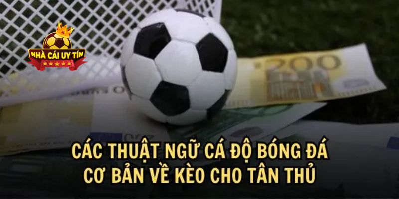 Giới thiệu qua về thuật ngữ cá độ bóng đá