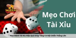 Mẹo chơi tài xỉu