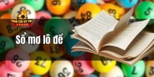 Sổ mơ lô đề