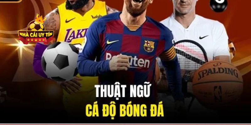 +1000 Các Thuật Ngữ Cá Độ Bóng Đá Dân Chơi Phải Biết 1 Thuật ngữ cá độ bóng đá